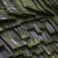 new shingle roof in Florida